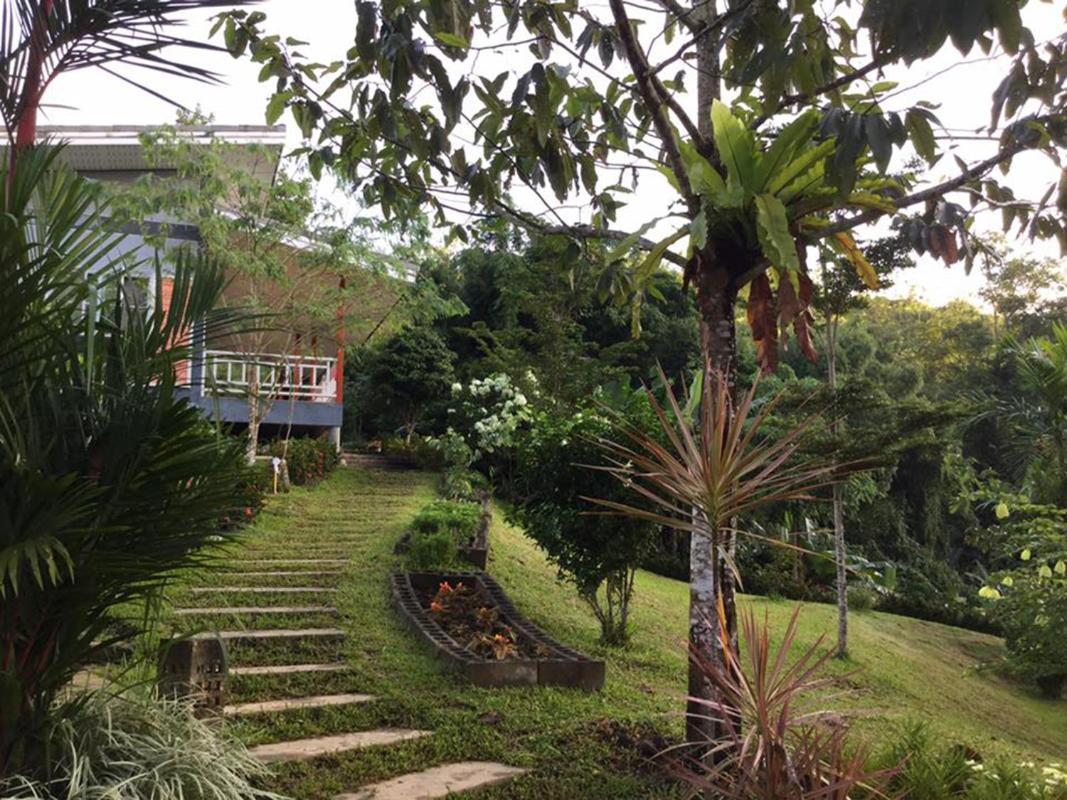 Bangnu Greenery Resort Takua Thung Экстерьер фото