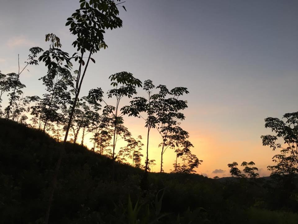 Bangnu Greenery Resort Takua Thung Экстерьер фото