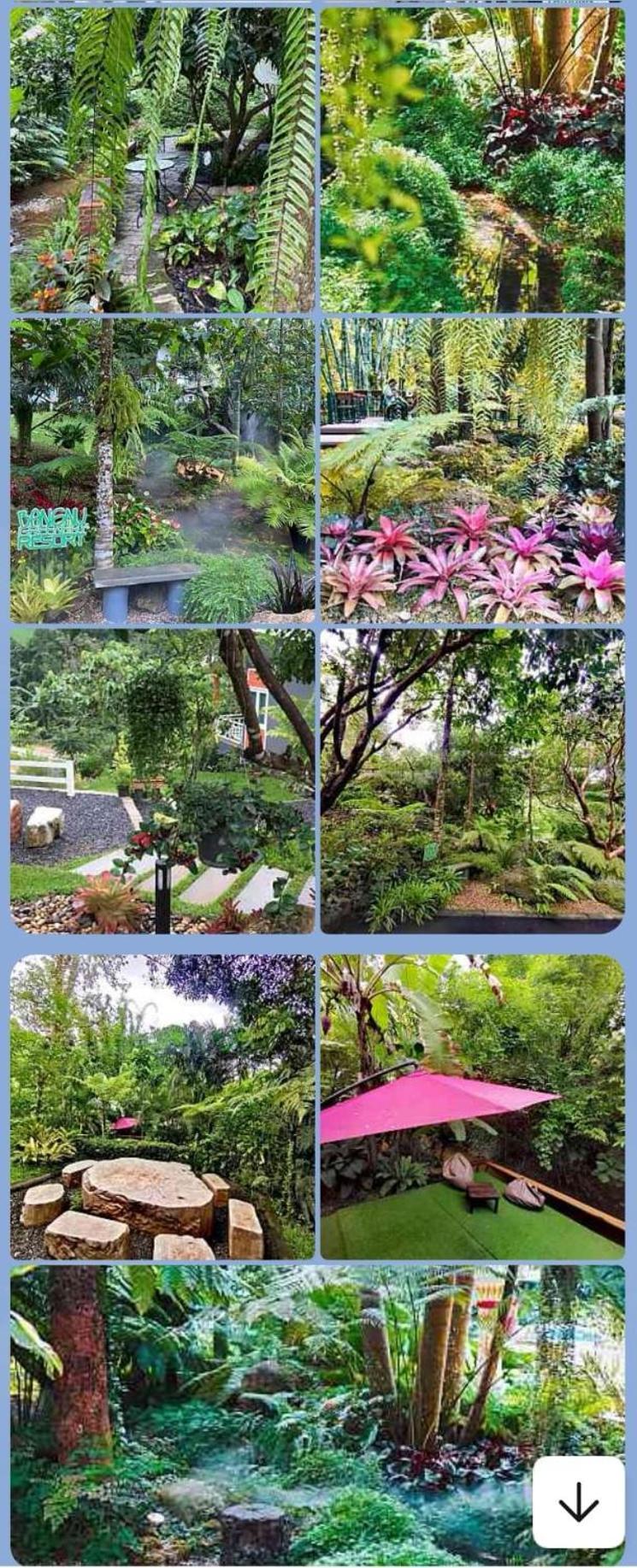 Bangnu Greenery Resort Takua Thung Экстерьер фото